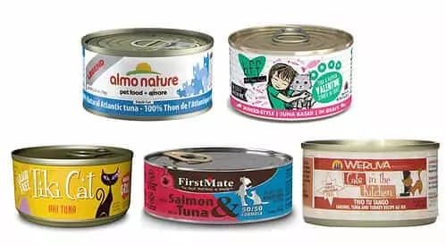 Is tuna best sale safe for kittens